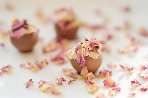 Andromeda Kaszinó Android/iOS Alkalmazás